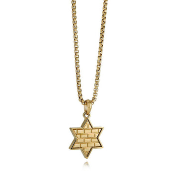 Jerusalem Wall Star of David Necklace